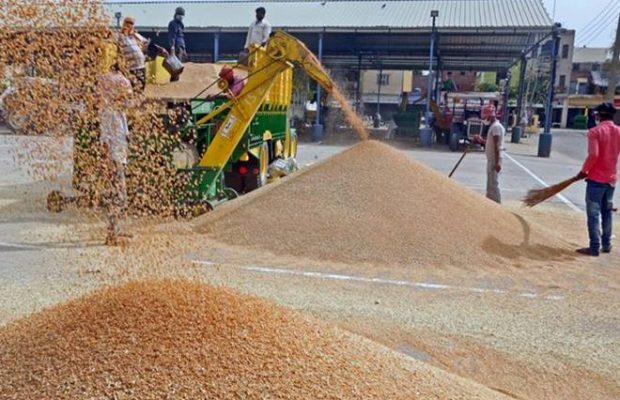 मुख्यमंत्री ने गेहूं खरीद में किसानों को दी बड़ी राहत
