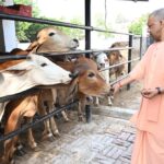 सीएम योगी के निर्देश पर चार बड़ी महत्वाकांक्षी योजनाएं पूरे प्रदेश में लागू, ग्रामीण अर्थव्यवस्था को मिलेगी नई ताकत