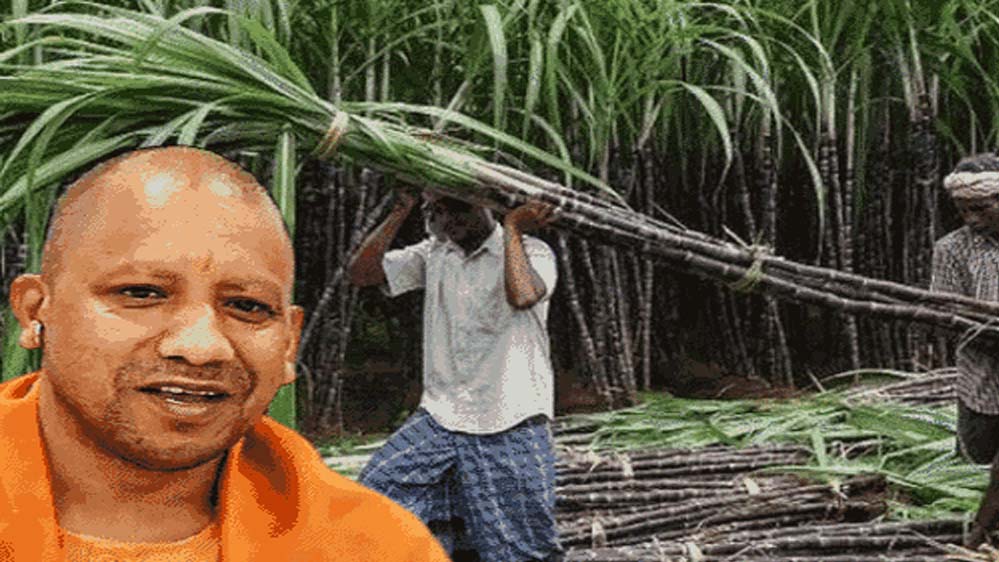 उत्तर प्रदेश ने गन्ना किसानों को किया 3.22 लाख करोड़ रुपये से अधिक का ऐतिहासिक भुगतान