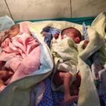 खरगोन में हैरान करने वाली घटना: एक महिला ने जन्म दिए चार बच्चे, दो बेटे और दो बेटियां
