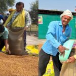 धमतरी का गौरव: विश्व की सबसे बड़ी अनाज भंडारण योजना में बनाया कीर्तिमान,   प्रदेश के कुल चने का 50% अकेले खरीदा