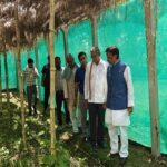 उप मुख्यमंत्री ने किया प्राकृतिक खेती का निरीक्षण