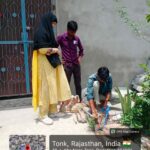 राजस्थान में पेयजल संकट पर बड़ा एक्शन, एक दिन में 2,385 समस्याओं का हुआ समाधान
