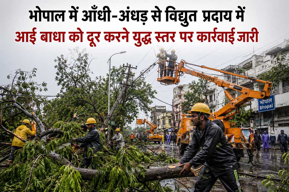 Bijli_01-1.jpg