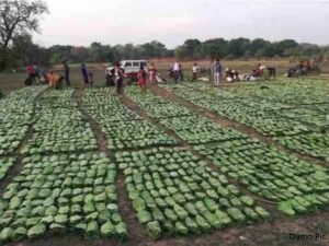 Chhattisgarh_News_02-2-2.jpg