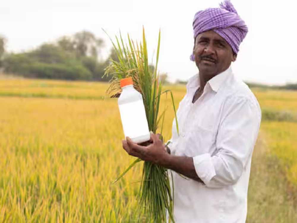 Chhattisgarh_News_09-2-1.jpg