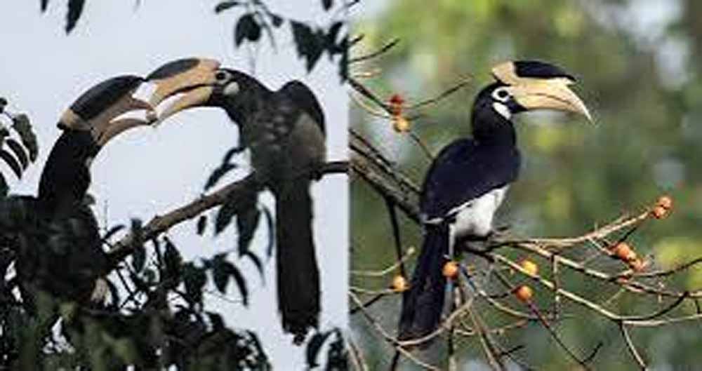 Chhattisgarh_News_10-2-12.jpg