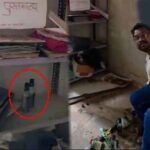 Kawardha के सरकारी स्कूल में शराब पीते पकड़ा गया शिक्षक, DEO ने जांच के दिए निर्देश