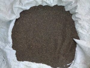 Dhan_01-1.jpg