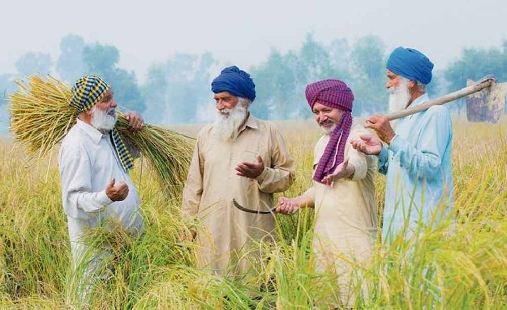 Hariyana_News_02-1-11.jpg