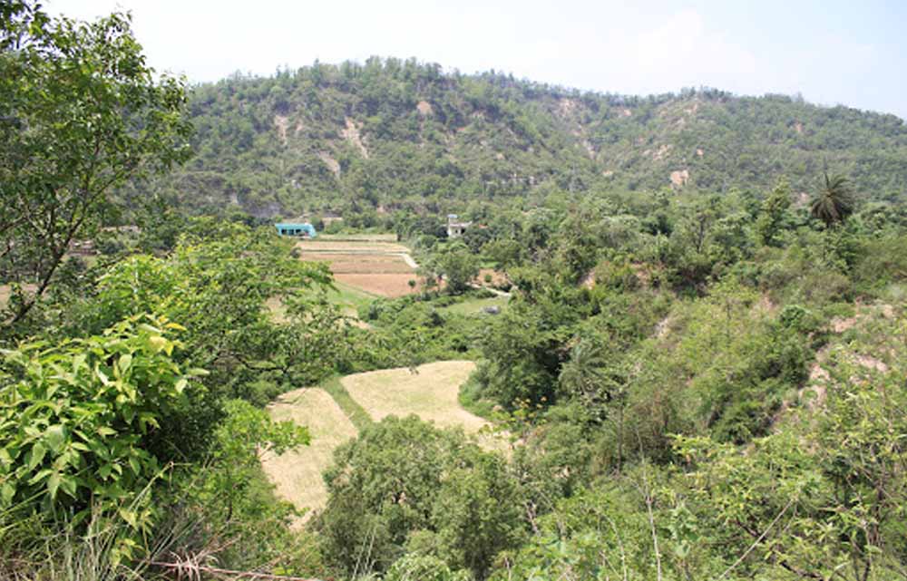Hariyana_News_04-3-1.jpg