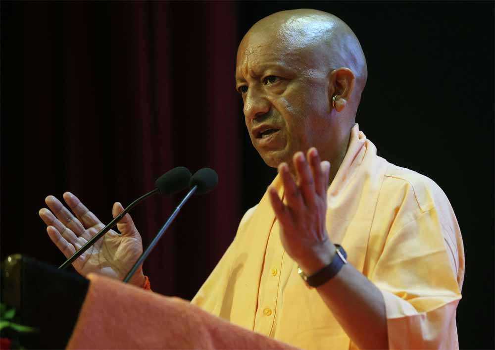 Yogi-2.jpg