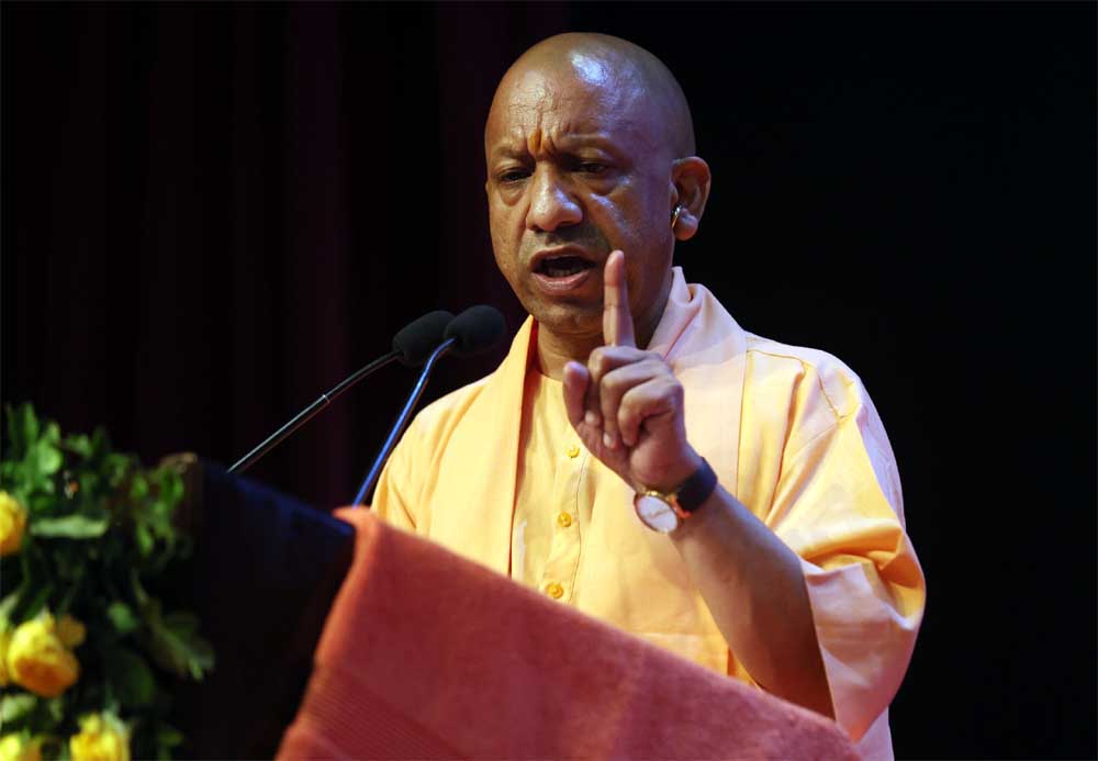 Yogi_02-13.jpg