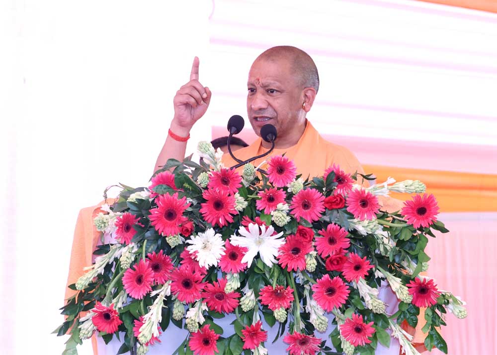 Yogi_03-17.jpg
