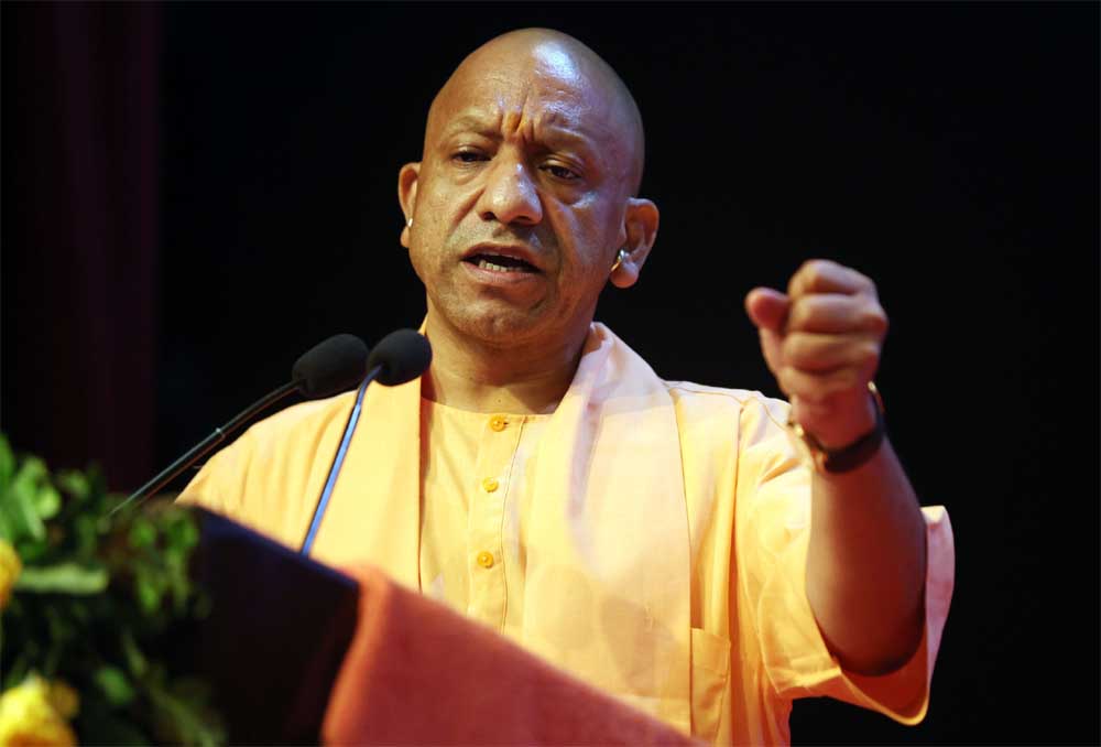 Yogi_03-25.jpg