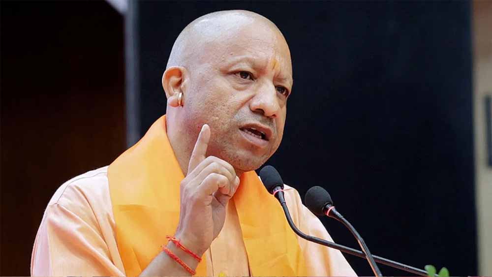 Yogi_04.jpg