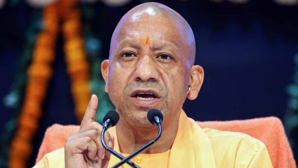 Yogi_5-3.jpg