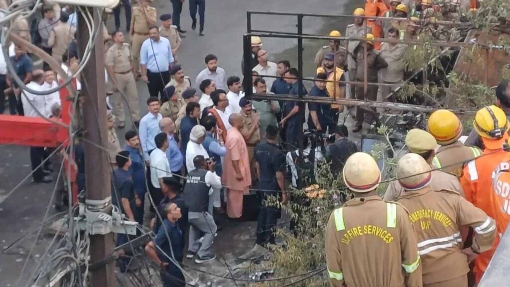 cm_yogi_in_d-1.jpg