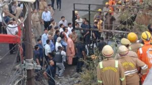 cm_yogi_in_d-1.jpg