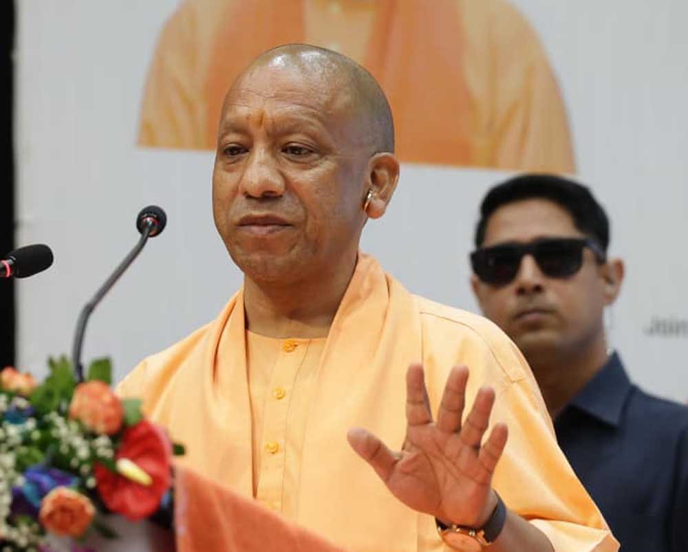 yOGI_02-15.jpg