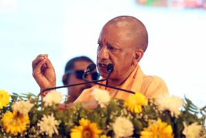 yogi_5765797-1.jpg