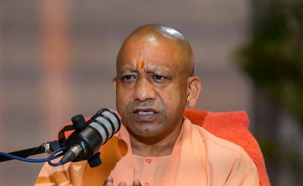 yogi_news1.jpg