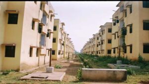 100-11.jpg