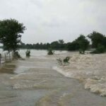 नेपाल की बारिश से उफनी गंडक, वाल्मीकीनगर बराज से बढ़ाया गया पानी का डिस्चार्ज