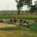 उत्तर बिहार के किसानों को राहत, 33 करोड़ से नहरों का जीर्णोद्धार