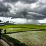 Punjab Weather: प्री-मानसून की बेरुखी के बाद जुलाई भी फीकी, उमस और बिजली खपत ने बढ़ाई मुश्किलें