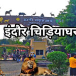 इंदौर चिड़ियाघर में बढ़ेगा आकर्षण, आएगा एक सींग वाले गैंडों का जोड़ा, 700 किमी दूर से पहुंचेगा दरियाई घोड़ा ‘सतीश’