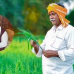 राजस्थान ने फसल बीमा योजना में सुधार के लिए केंद्र को भेजे 11 सुझाव