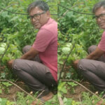 जबलपुर पूर्व प्रदेश अध्यक्ष सुनील कुमार राय ने पीपल के वृक्ष मझौली में लगाए