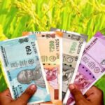 नूंह में बागवानी को बढ़ावा, किसानों को मिलेगा 42 हजार रुपये अनुदान