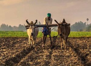 Chhattisgarh_News_04-3-21.jpg