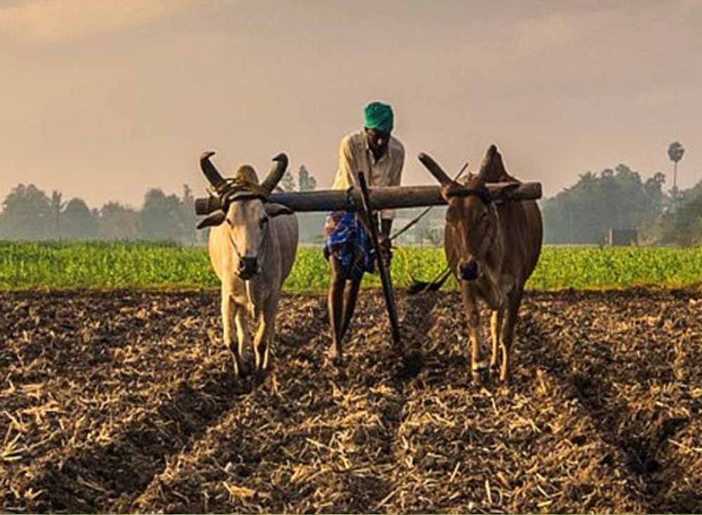 Chhattisgarh_News_04-3-21.jpg