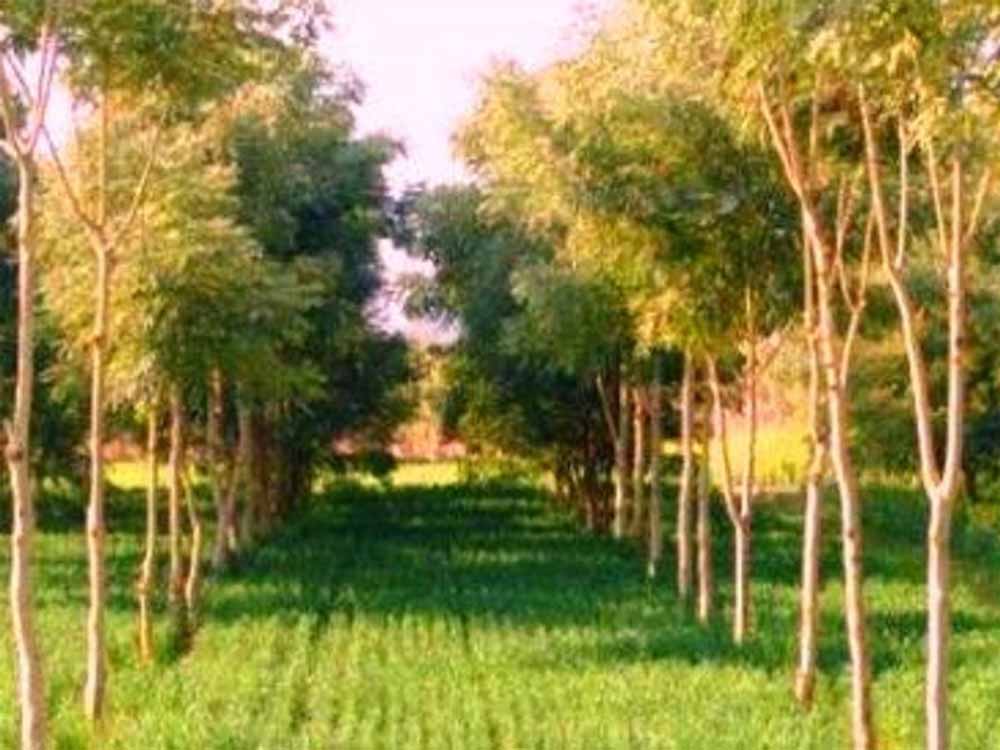 Chhattisgarh_News_05-2-6.jpg