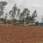 CG में बारिश थमते ही खेती पर असर, बोवनी और रोपाई का काम हुआ प्रभावित