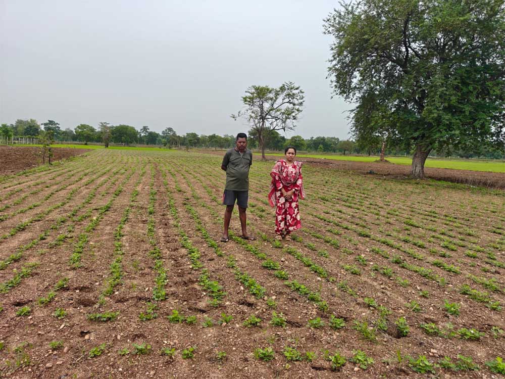 Farmer_02.jpg