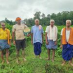 लैलूंगा के पाकरगांव के सुगंधित जवांफूल चावल की खुशबू पहुंच रही मुख्यमंत्री निवास तक