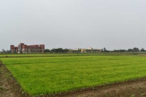 Kisan_01-4.jpg