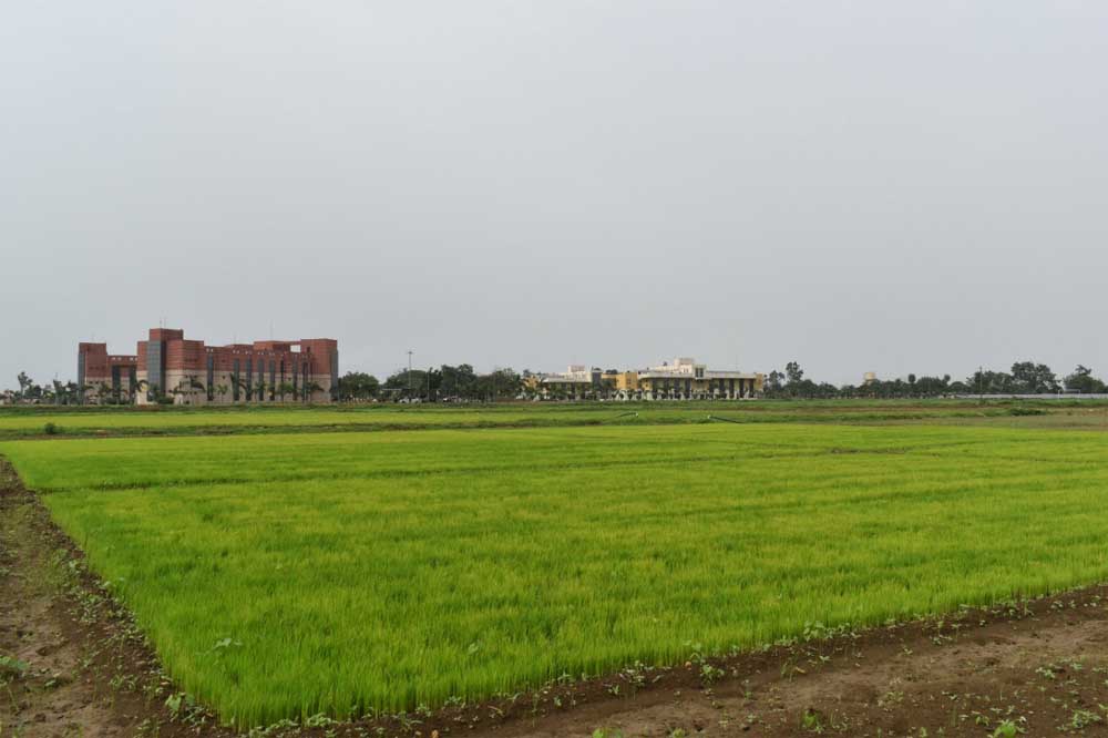 Kisan_01-4.jpg