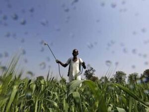 Kisan_03-1.jpg