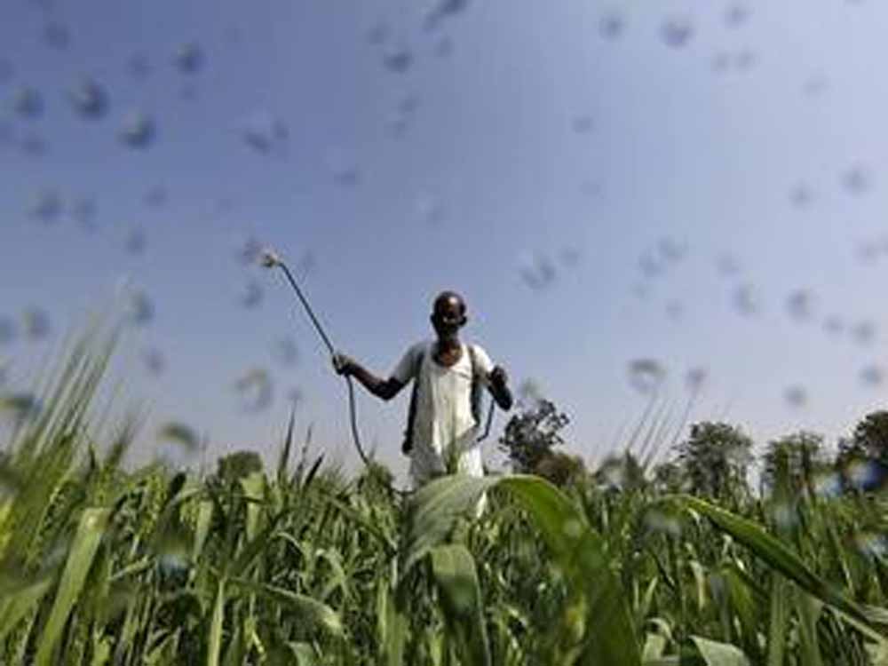 Kisan_03-1.jpg