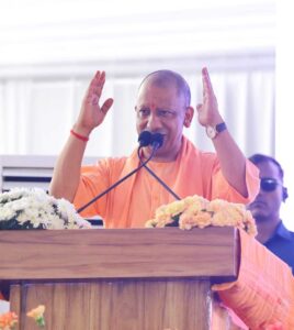 Yogi_02-13.jpg