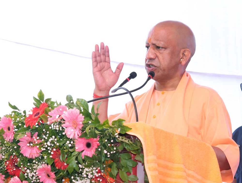 Yogi_02.jpg