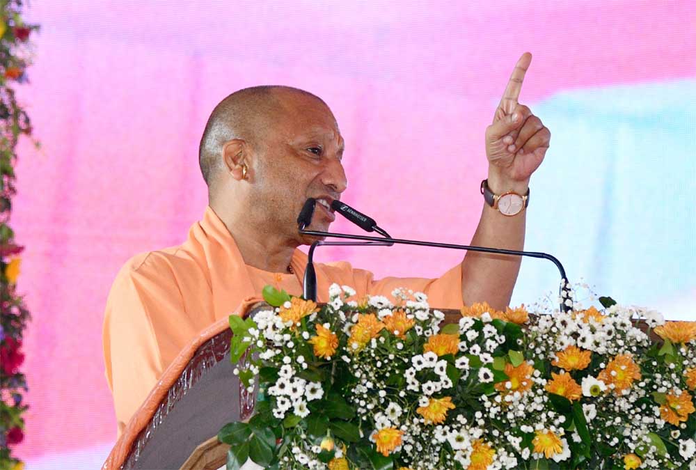 Yogi_04-3.jpg