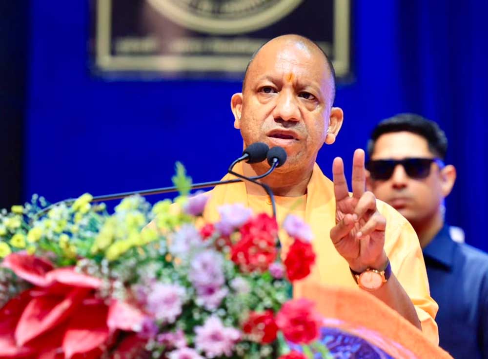 Yogi_05-4.jpg