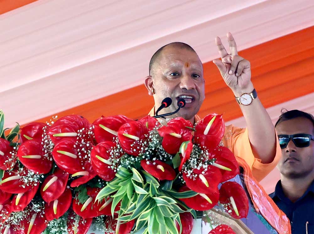 yogi_01-36.jpg