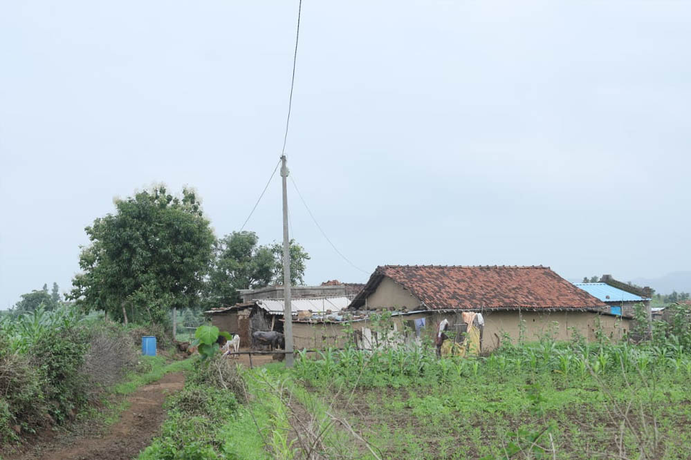 13A_194-1.jpg